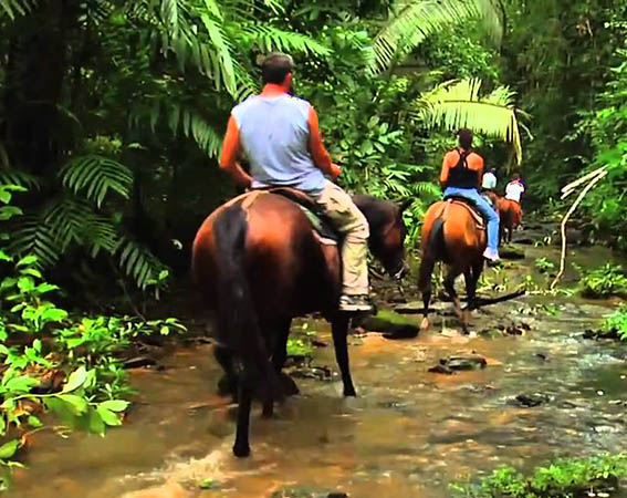 Trail Riding